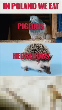 In Poland We Eat Pigeons, Hedgehogs, and Bird's Milk!
